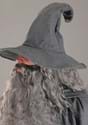 Plus Size Gandalf Lord of the Rings Costume Alt 5