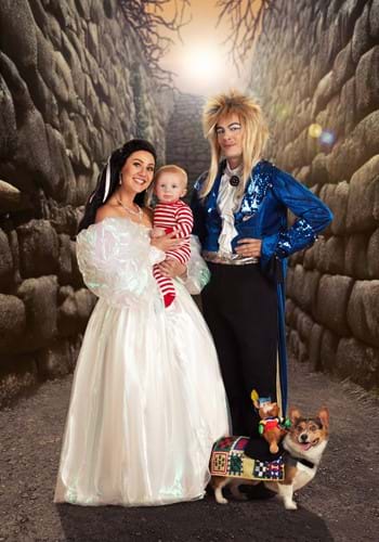 Labyrinth Sir Didymus Costume for Pets