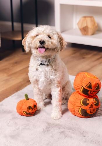 Pumpkin Pals Squeaky Toy Set for Pets