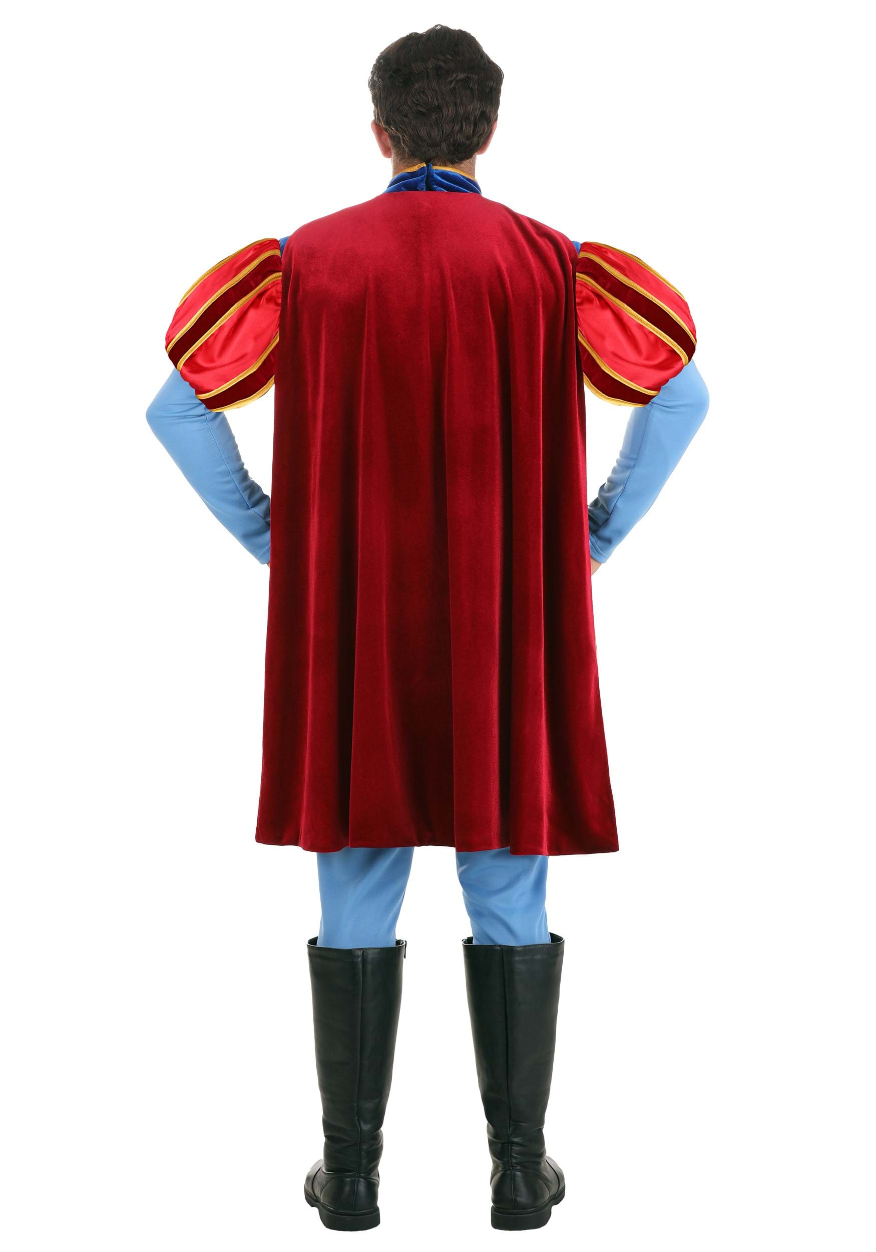 Disney Sleeping Beauty Prince Phillip Men's Costume