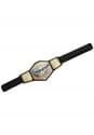 WWE United States Championship Belt Alt 1