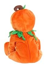 Infant Prize Pumpkin Costume Alt 1