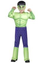 Toddler The Incredible Hulk Costume Alt 4