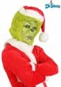 Adult Grinch Mask