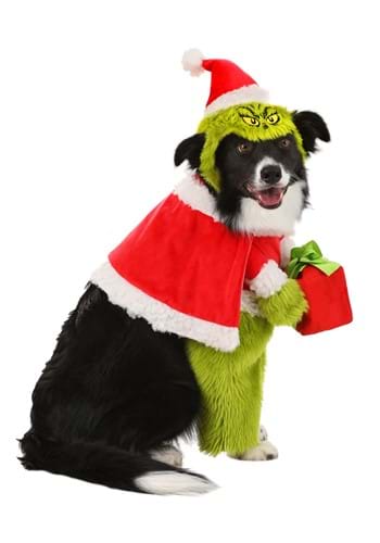 The Grinch Santa Costume for Pets