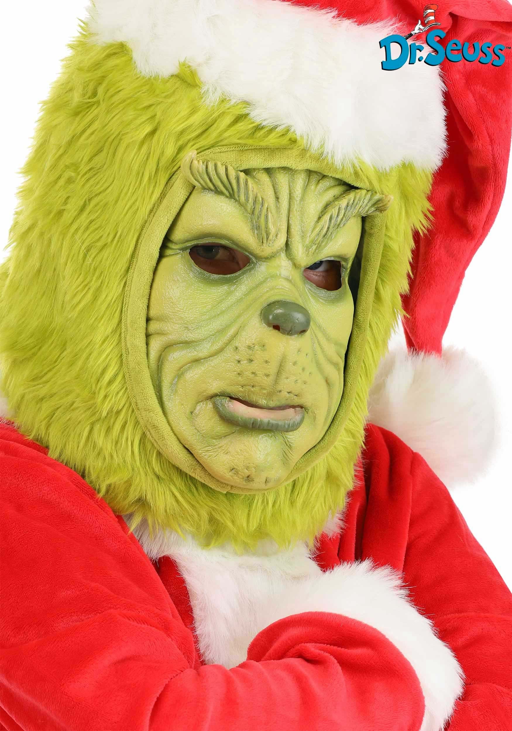 https://images.halloweencostumes.com/products/87263/1-1/kids-grinch-mask-.jpg