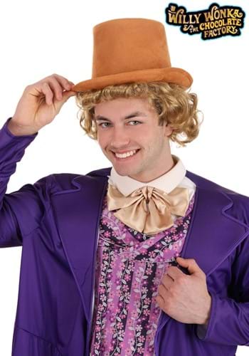 Willy Wonka and the Chocolate Factory Men's Willy Wonka Wig-