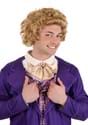 Willy Wonka and the Chocolate Factory Men's Willy Wonka Wig 