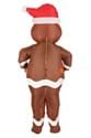 Adult Gingerbread Inflatable Costume Alt 1