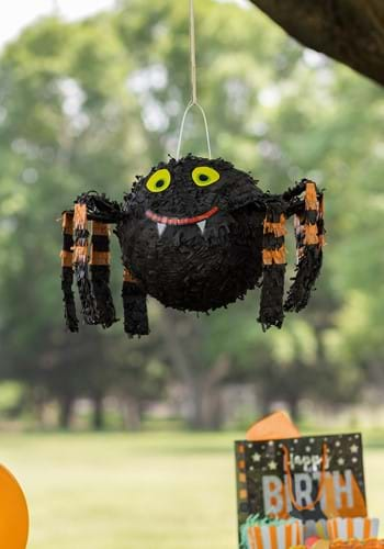 Halloween Spider Webs and Plastic Spiders - Spider Web Decorations