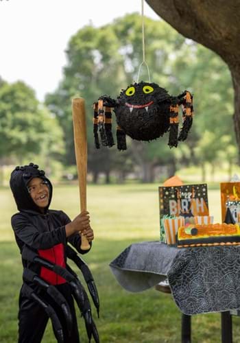 Spider Piñata Party Decoration | Party Supplies Decorations