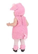 Infant Deluxe Squiggly Piggy Costume Alt 1