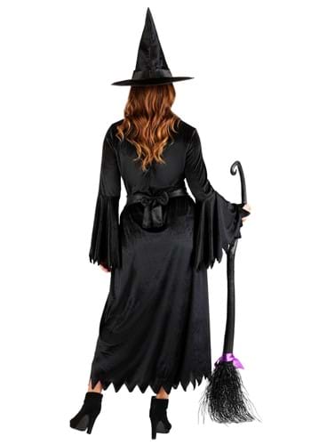 Adult Wicked Witch Costume for Women