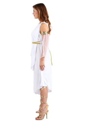 Ancient Women's Greek Goddess Costume | Historical Costumes