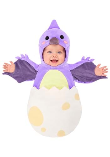 Infant Tiny Pterodactyl Dino Costume Bunting 1