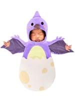 Infant Tiny Pterodactyl Dino Costume Bunting