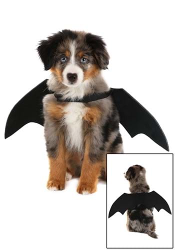 Pet Bat Wings Costume