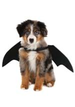 Pet Bat Wings Costume Alt 1