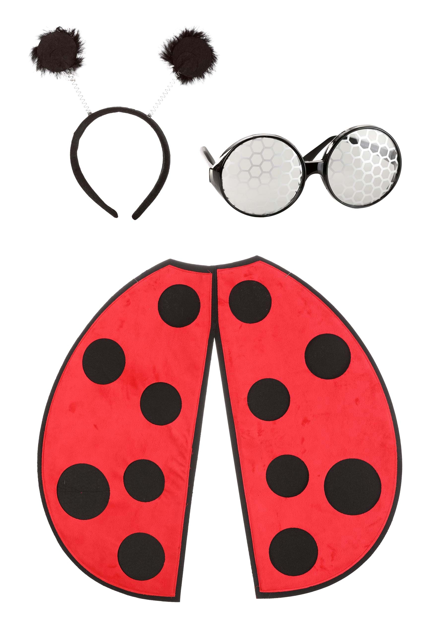 Ladybug Accessory Kit