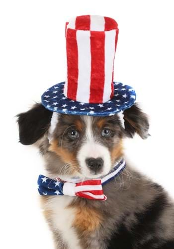 4th of July Pet Costume Kit