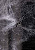 White Spider Web Decoration Alt 1