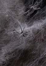 White Spider Web Decoration Alt 2