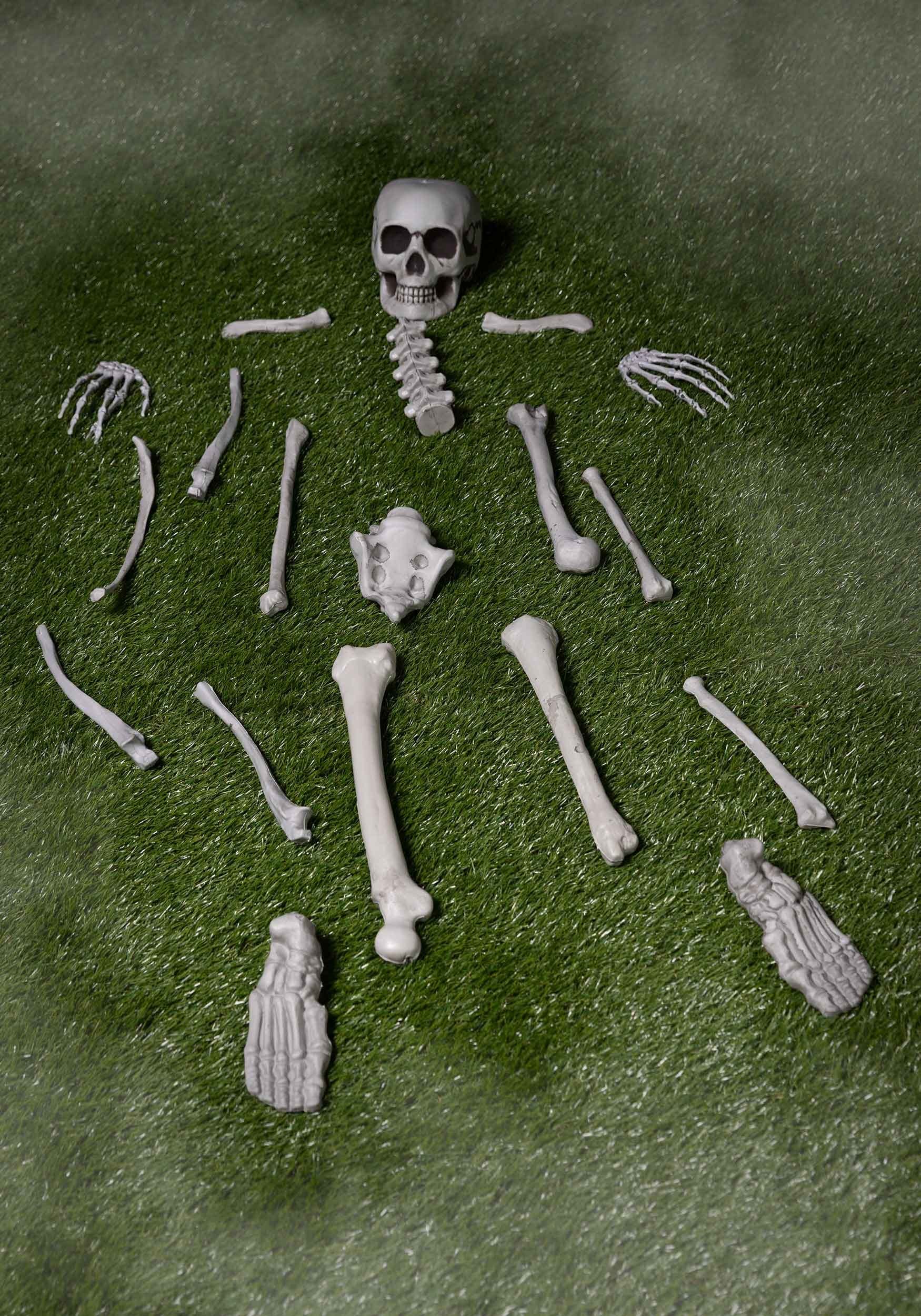 Bag of Bones Halloween Prop