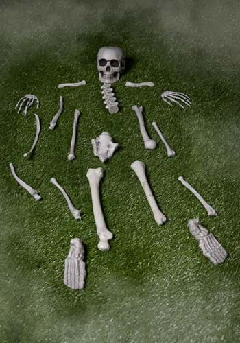 Bag of Bones Halloween Decoration