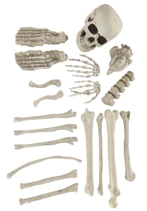 Bag of Skeleton Bones Prop Decoration | Skeleton Decorations