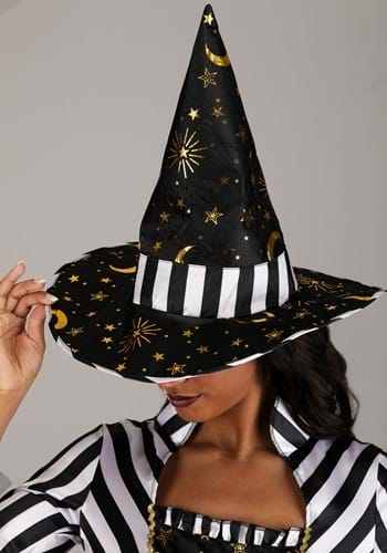 Women's Plus Size Rococo Witch Costume