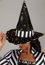 Plus Size Adult Rococo Witch Costume Alt 3