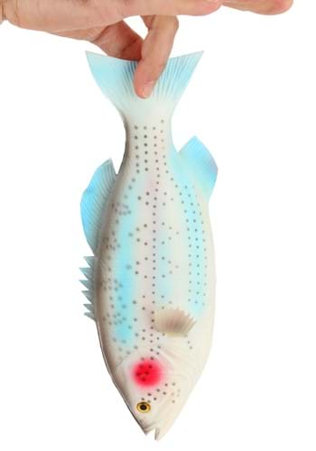 Rainbow Trout Rubber Fish Prop | Costume Accessories