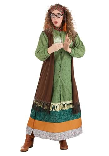 Deluxe Harry Potter Hagrid Men's Costume