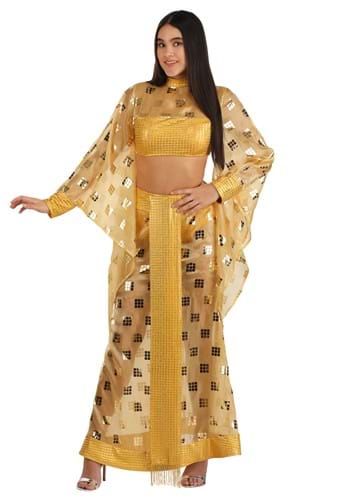 Adult Cher Costume