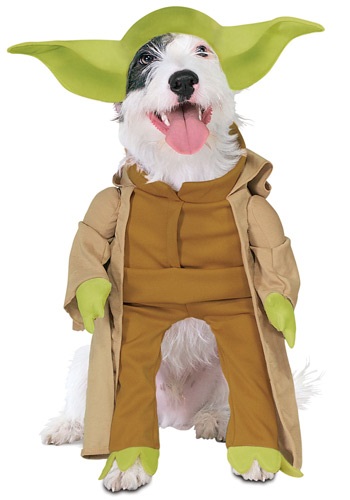 Yoda Star Wars Dog Costume