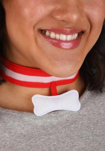 Dog Accessory Kit
