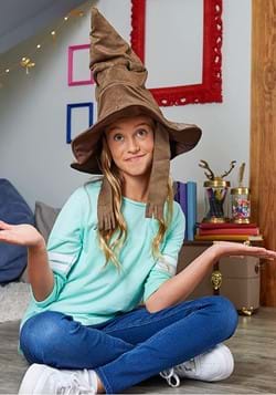 Harry Potter Wizarding World Costume Sorting Hat