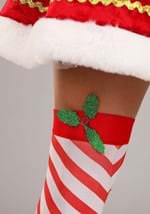 Plus Size Womens Deluxe Festive Elf Costume Alt 6