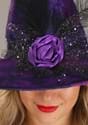 Elegant Purple Witch Hat Alt 2