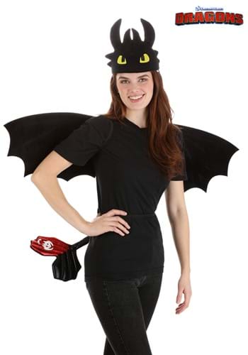 How to Train Your Dragon Toothless Costume Kit