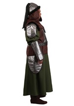 Plus Size Genghis Khan Costume Alt 5