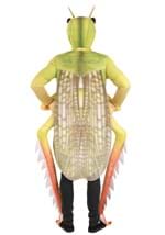 Exclusive Adult Deluxe Grasshopper Costume Alt 1