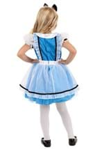 Kid's Classic Alice Costume Alt 3