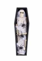 27 Inch Mummy Coffin Decoration Alt 2