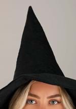 Elphaba Witch Hat Adult Alt 1