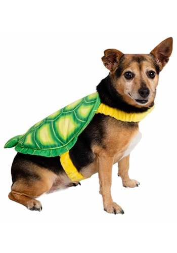 Pet Turtle Costume