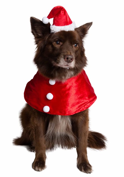 Pet Santa Costume Main 1