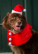 Pet Santa Costume Alt 1