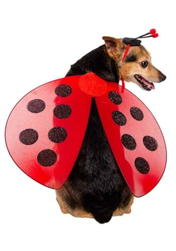 Ladybug Costumes & Accessories - HalloweenCostumes.com