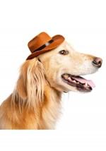Pet Cowboy Hat Alt 1